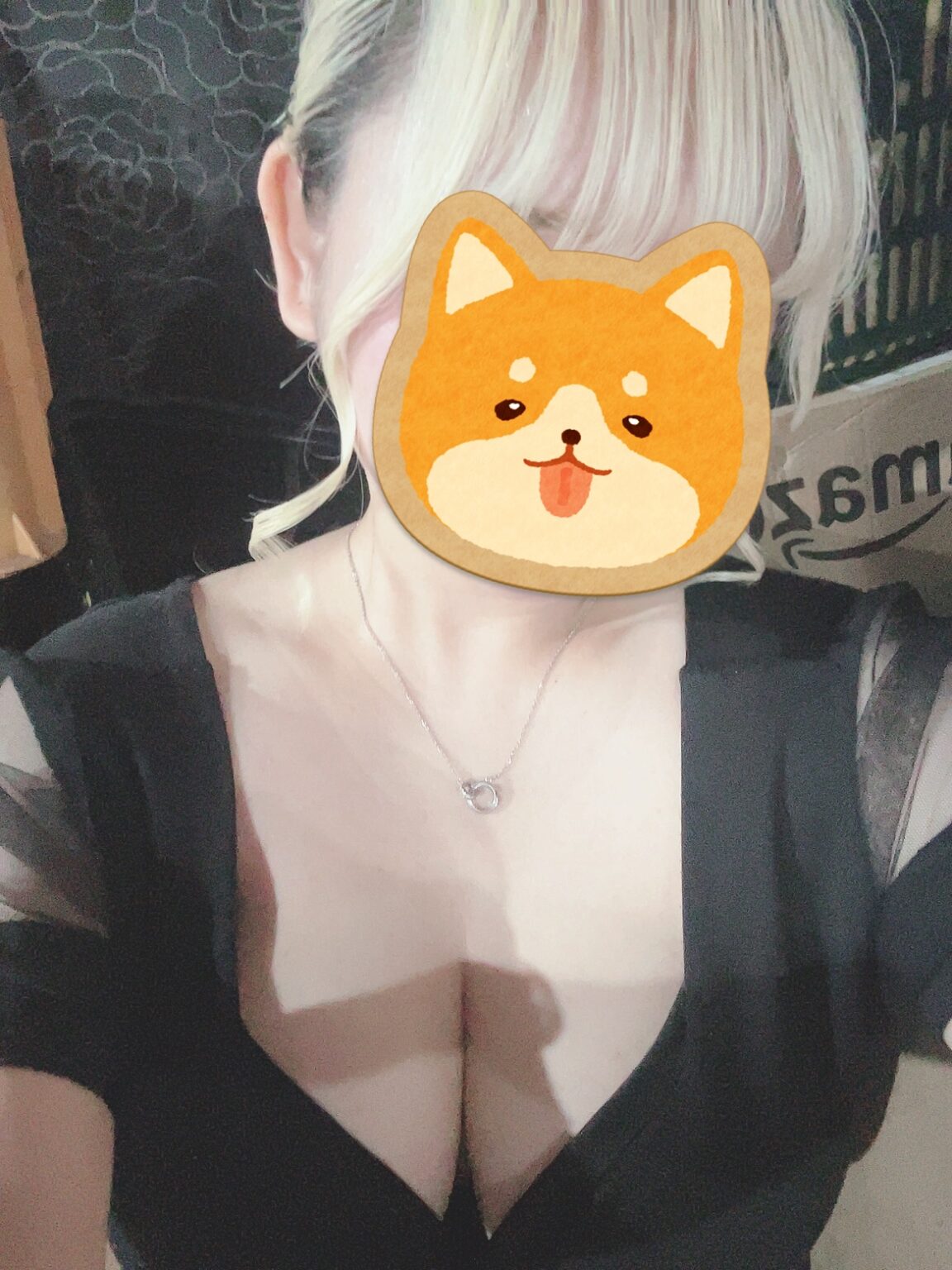 カイブログ かよー - 新橋 セクキャバ おっパブ いちゃキャバ WRAITH レイス