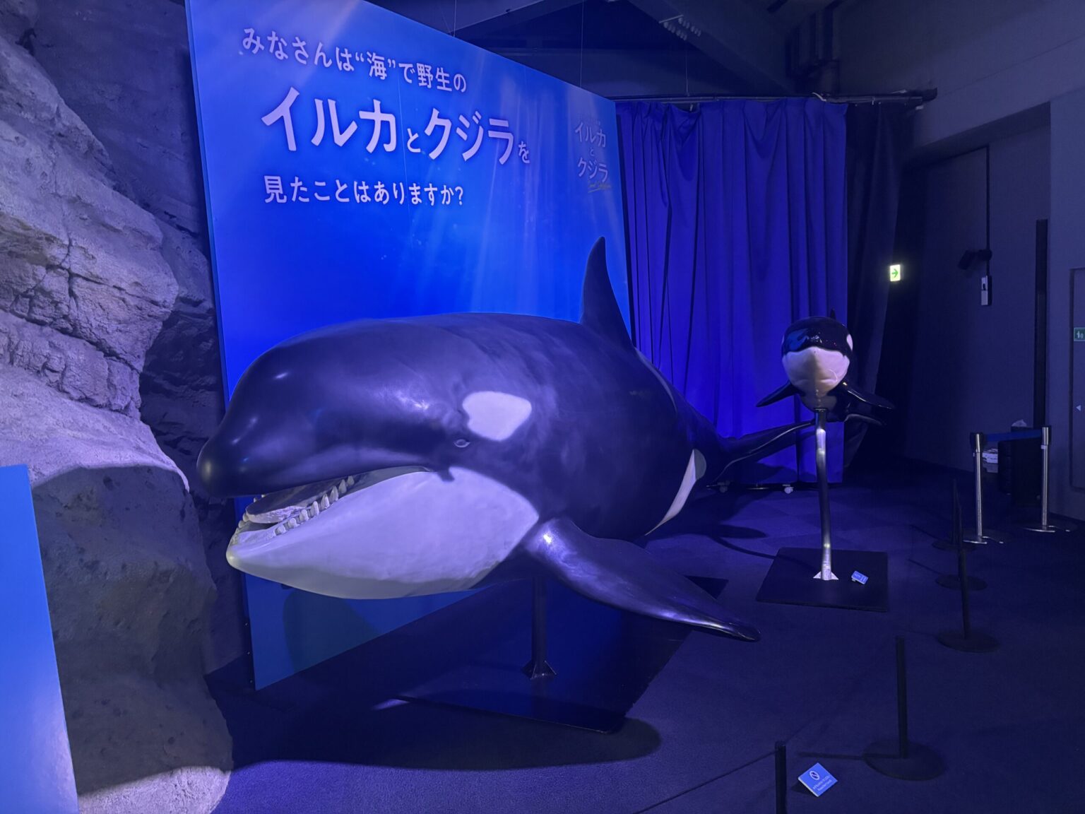 ヒカルブログ こんばんわ - 新橋 セクキャバ おっパブ いちゃキャバ WRAITH レイス