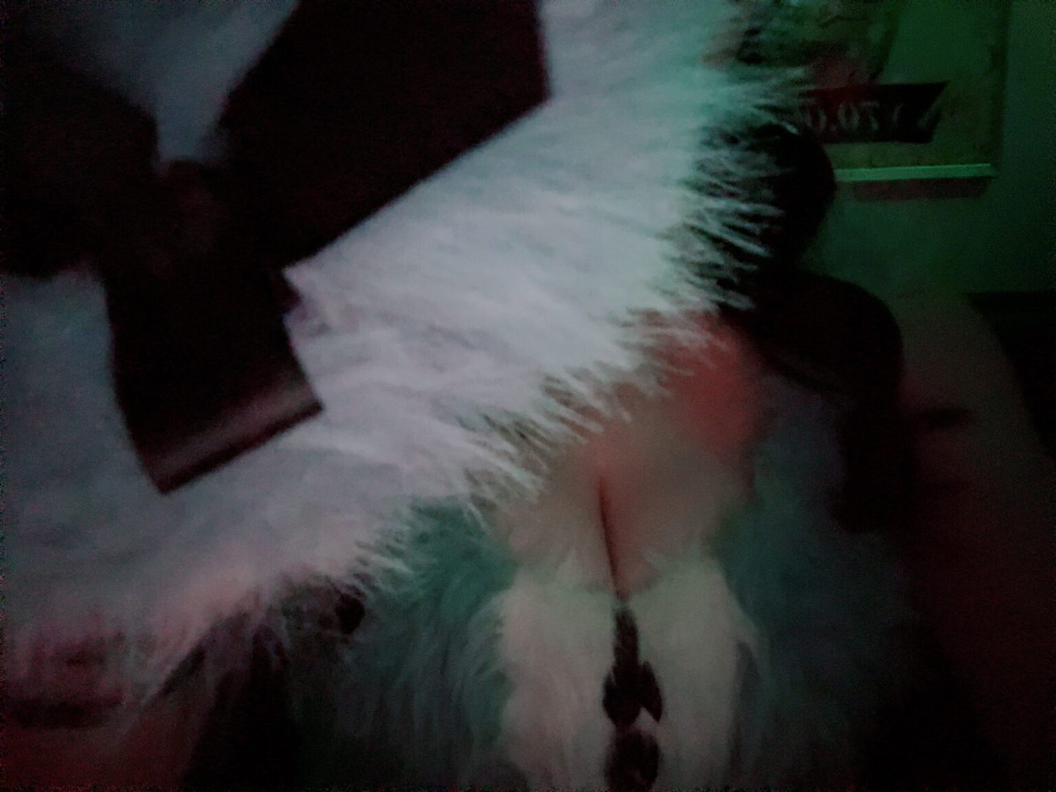 カナムブログ はぴはろ！ - 新橋 セクキャバ おっパブ いちゃキャバ WRAITH レイス