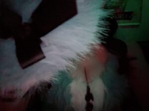 カナムブログ はぴはろ！