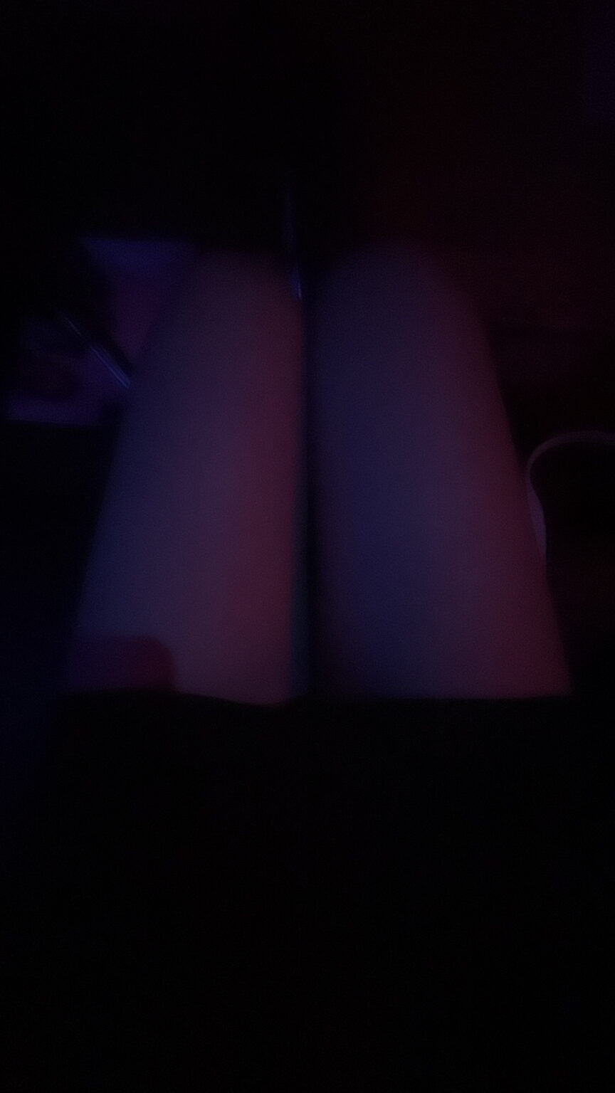 アスカブログ 出勤〜🐱 - 新橋 セクキャバ おっパブ いちゃキャバ WRAITH レイス