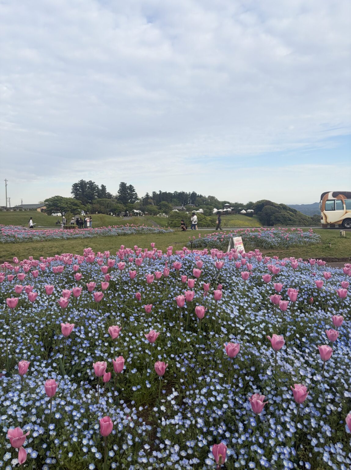 リナブログ 4/23 - 新橋 セクキャバ おっパブ いちゃキャバ WRAITH レイス