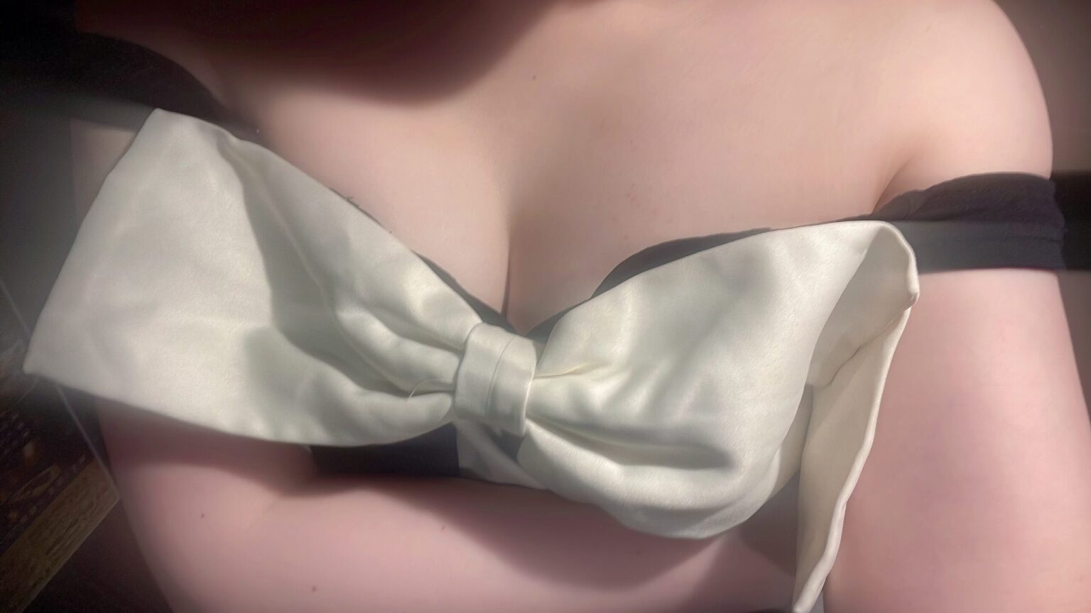 ランカブログ 🩵 - 新橋 セクキャバ おっパブ いちゃキャバ WRAITH レイス